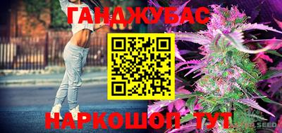 дмт Бийск
