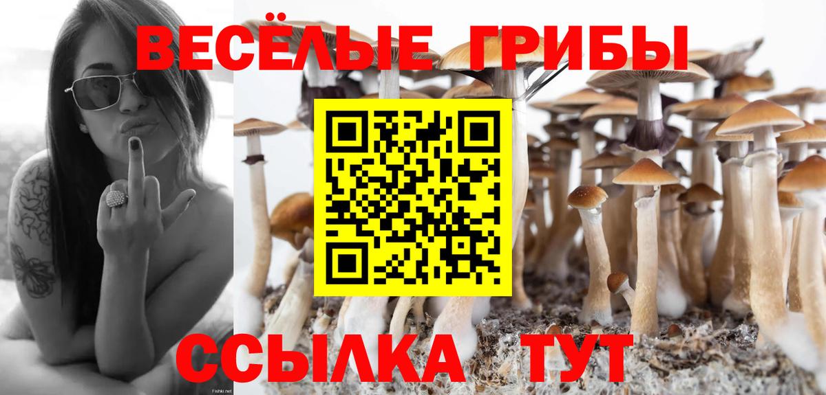 Кольчугино  Псилоцибиновые грибы мухоморы  Вход с VPN 